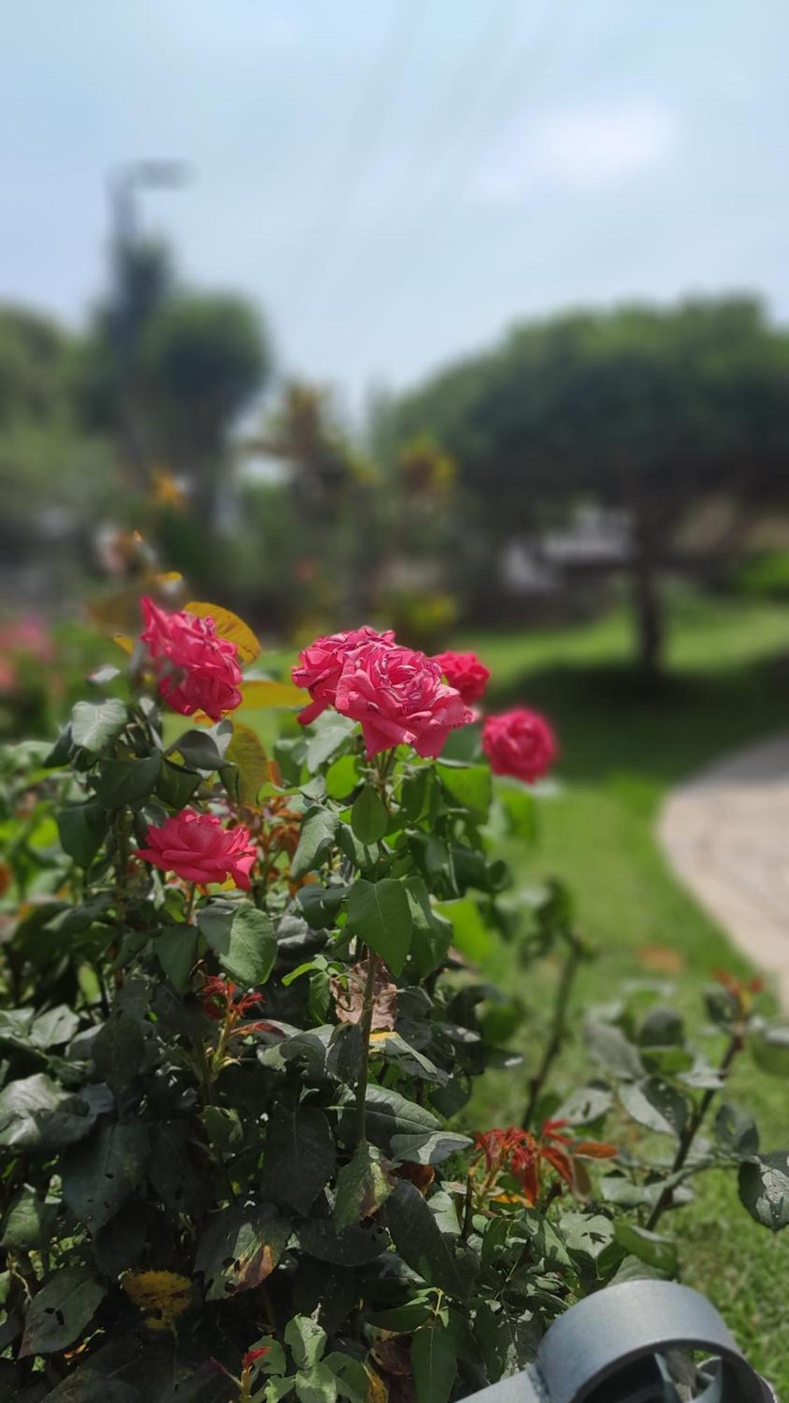 Paradise Dhaskalion Екстериор снимка